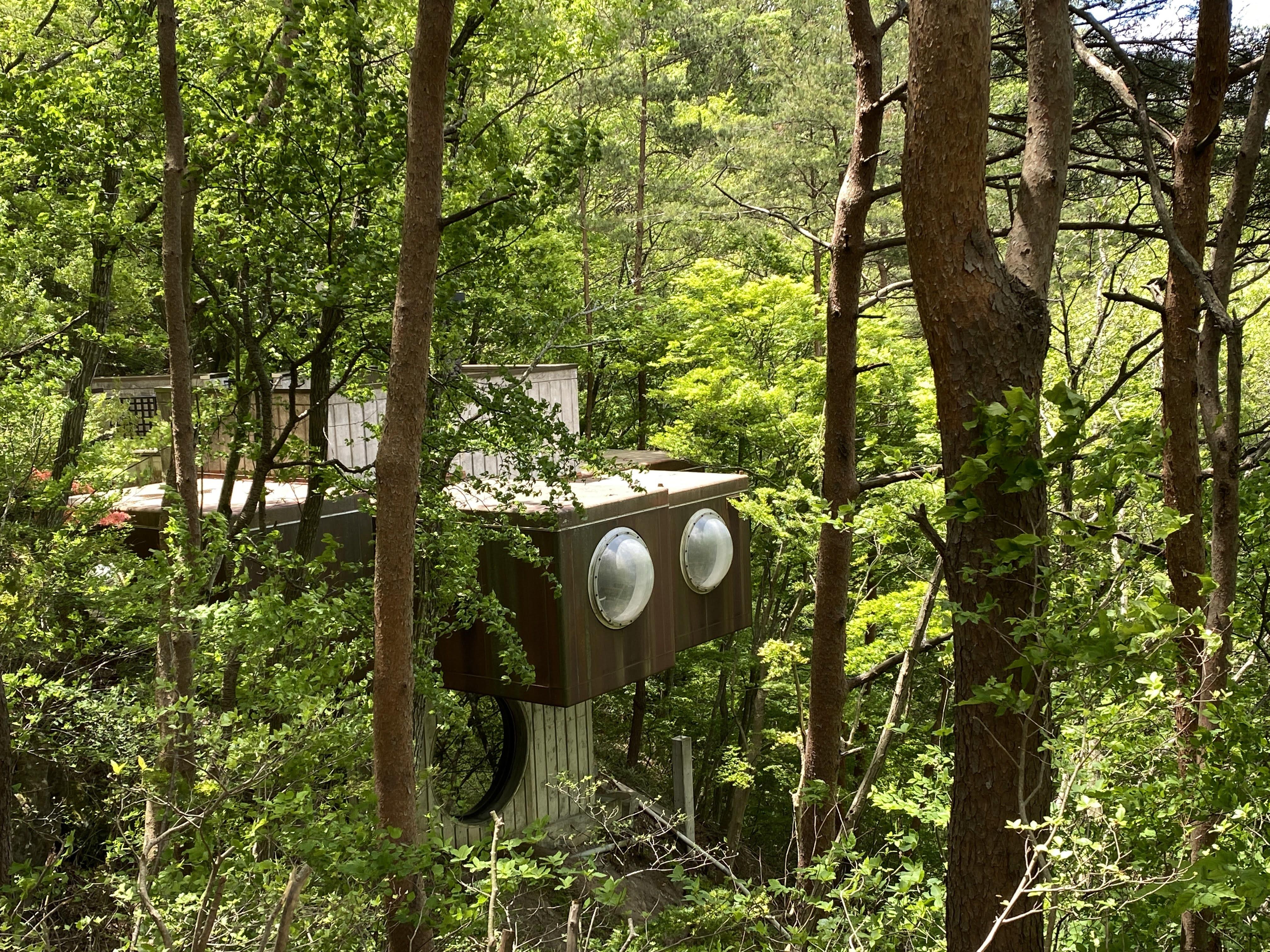 %E6%9C%9D%E6%97%A5%E3%82%AB%E3%83%AB%E3%83%81%E3%83%A3%E3%83%BC