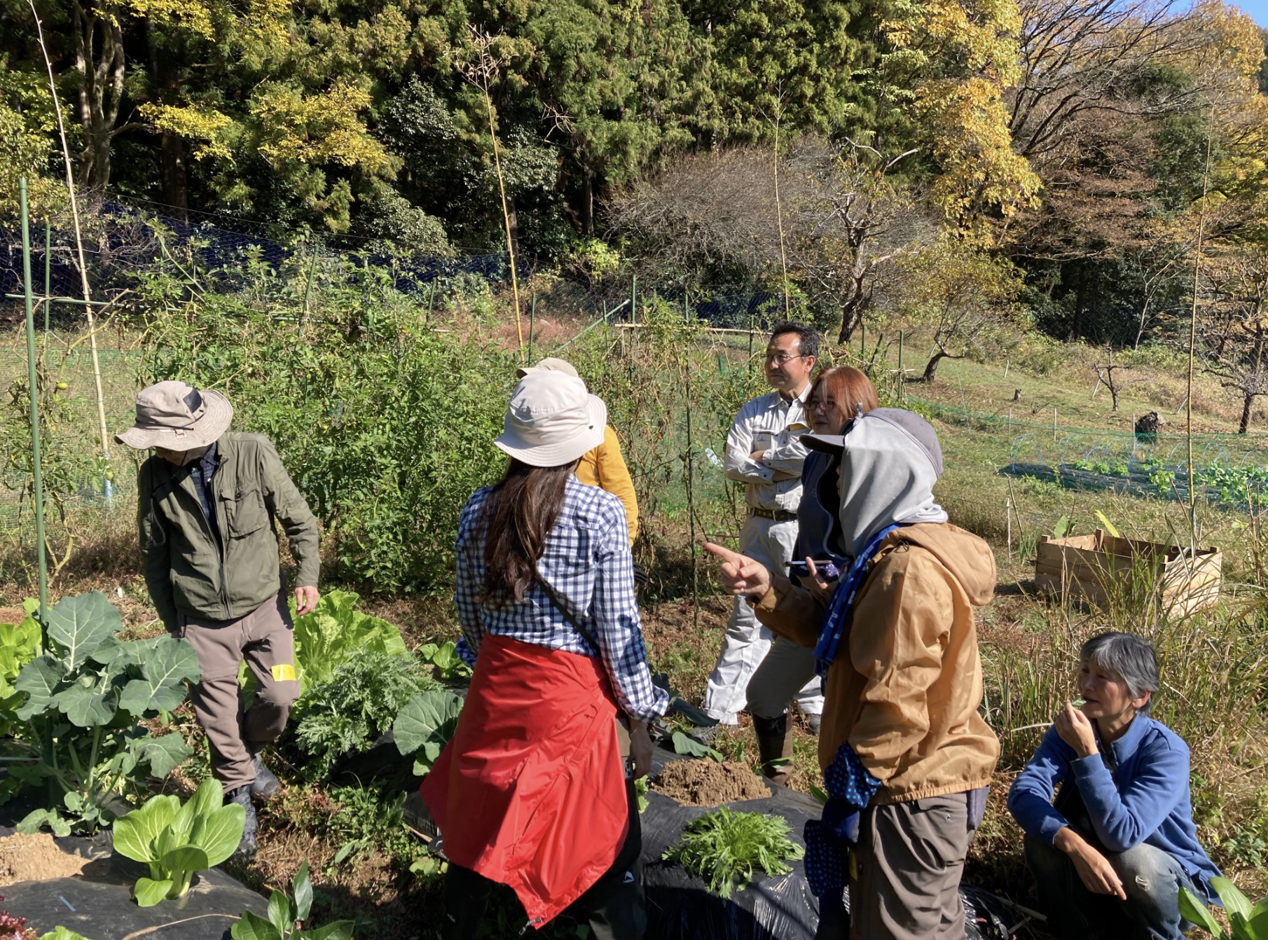 スクリーンショット 2025-10-25 15.28.00.png