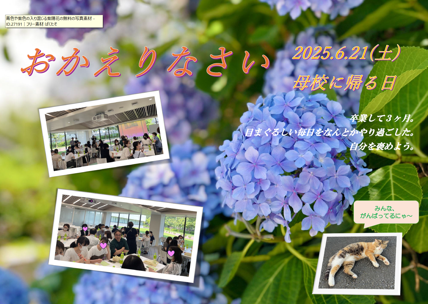 スクリーンショット 2025-07-08 104345.png